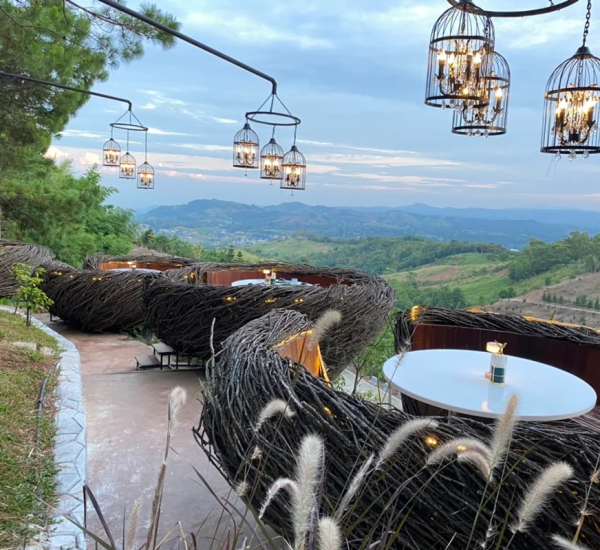Cafe & Restaurant