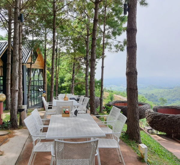 Cafe & Restaurant