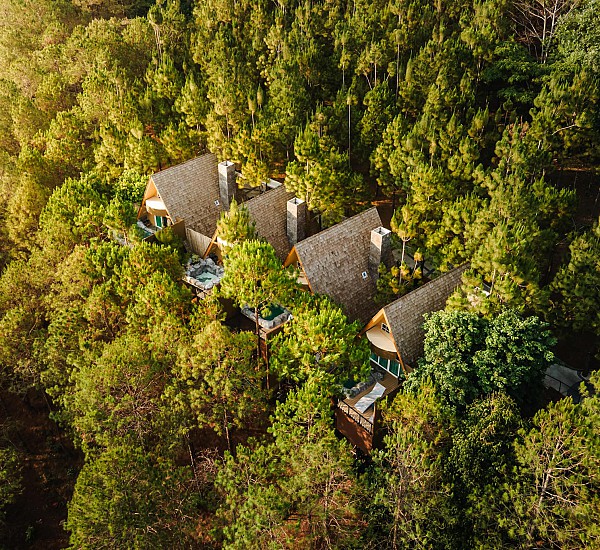 Hotel Overview